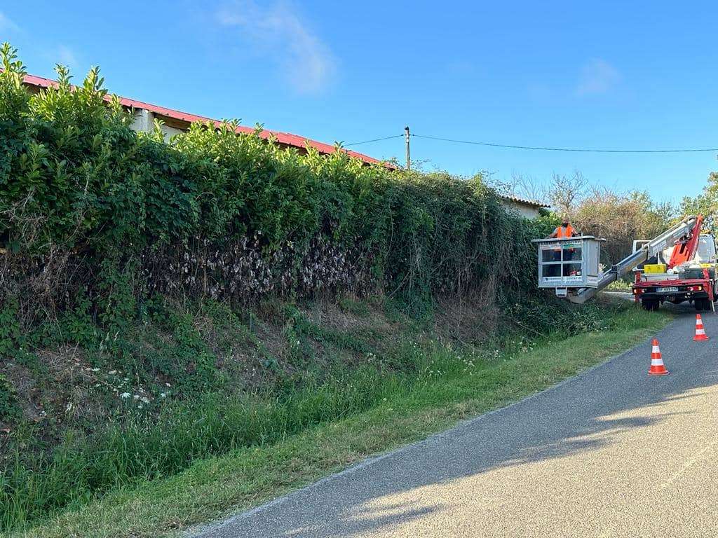 tonte de haie Caussade
